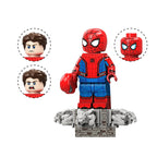The Infinity Veil: Arachnids & Arcana | Custom Brickpack